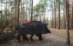 East News archiwum 2026