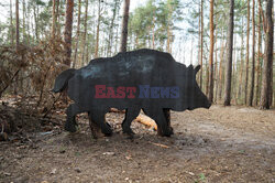 East News archiwum 2026