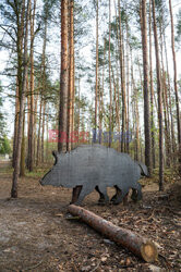 East News archiwum 2026