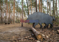 East News archiwum 2026