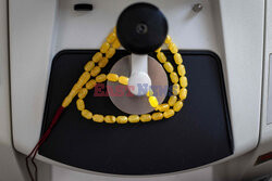 Bałtyckie bursztyny - AFP