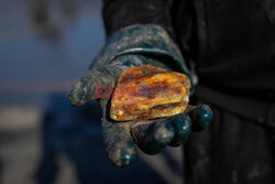 Bałtyckie bursztyny - AFP