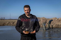 Bałtyckie bursztyny - AFP