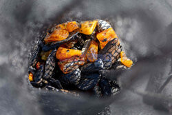 Bałtyckie bursztyny - AFP