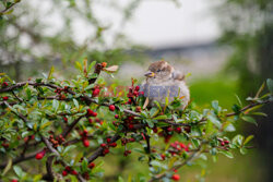 East News archiwum 2026