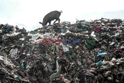 Ubrania na wysypisku w Kenii