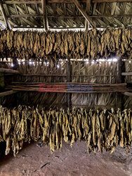 Życie codzienne na Kubie