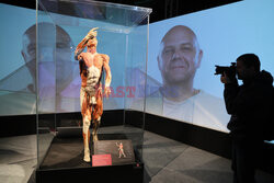 Wystawa Body Worlds Pulse w Warszawie