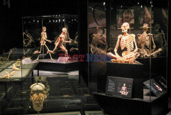 Wystawa Body Worlds Pulse w Warszawie