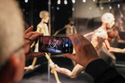 Wystawa Body Worlds Pulse w Warszawie