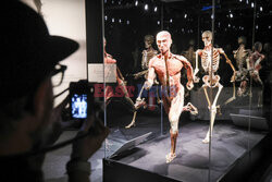 Wystawa Body Worlds Pulse w Warszawie