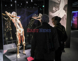 Wystawa Body Worlds Pulse w Warszawie