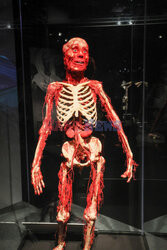 Wystawa Body Worlds Pulse w Warszawie