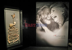 Wystawa Body Worlds Pulse w Warszawie