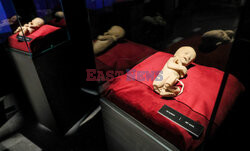 Wystawa Body Worlds Pulse w Warszawie