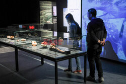 Wystawa Body Worlds Pulse w Warszawie