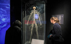 Wystawa Body Worlds Pulse w Warszawie
