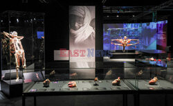 Wystawa Body Worlds Pulse w Warszawie
