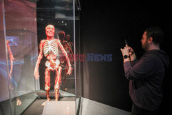 Wystawa Body Worlds Pulse w Warszawie