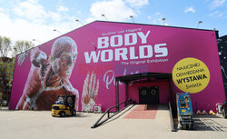 Wystawa Body Worlds Pulse w Warszawie