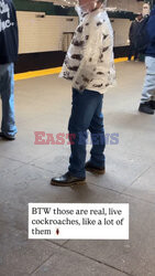 Pasażer w kurtce z żywymi karaluchami