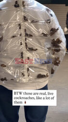 Pasażer w kurtce z żywymi karaluchami