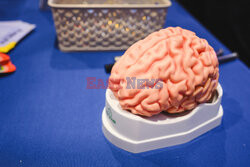 Dzień otwarty Gdańskiego Uniwersytetu Medycznego