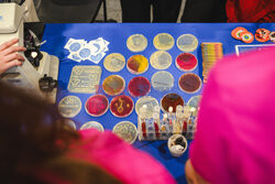 Dzień otwarty Gdańskiego Uniwersytetu Medycznego