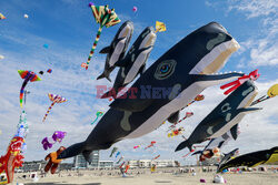 Festiwal latawców w Berck