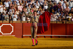 Ósma walka byków w sezonie w Sewilli