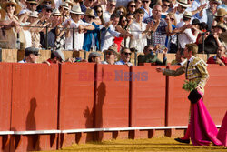 Ósma walka byków w sezonie w Sewilli