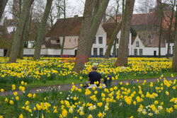 Beginaż Ten Wijngaerde w Brugii - AFP