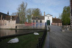 Beginaż Ten Wijngaerde w Brugii - AFP