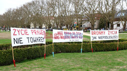 Marsz dla Życia w Szczecinie