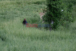 Kaszmir rok po konflikcie