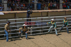 Rodeo na Filipinach - AFP