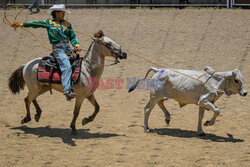 Rodeo na Filipinach - AFP