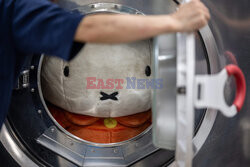 Pralnia pluszaków w Japonii - AFP