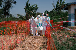 Ebola w Kongo