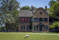 Charleston - NYT