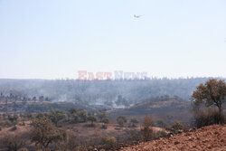 Pożar lasów w Andaluzji