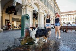 Fala upałów w Europie