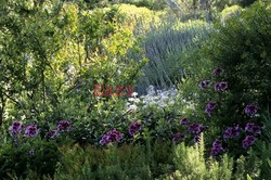 Piękny ogród na Majorce -Andreas Von Einsiedel