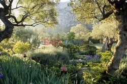 Piękny ogród na Majorce -Andreas Von Einsiedel