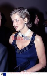 Księżna Diana portret
