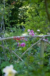 W różanym ogrodzie  - House and Leisure