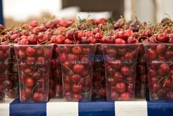 Rex Features ftp April 2011