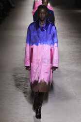 Dries Van Noten